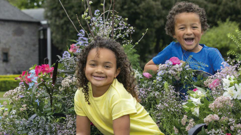 How To Create A More Biodiverse Irish Garden This Spring