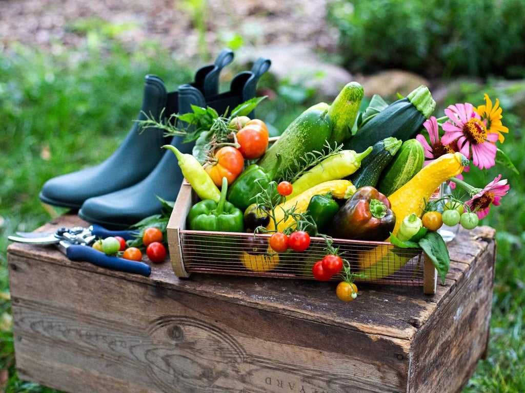 It's Not Too Late! Grow Your Own Late Summer Vegetables