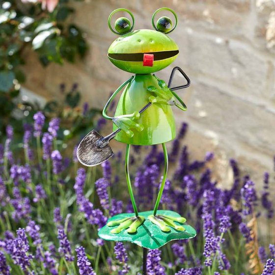 Barmy Frog with Shovel Stakes