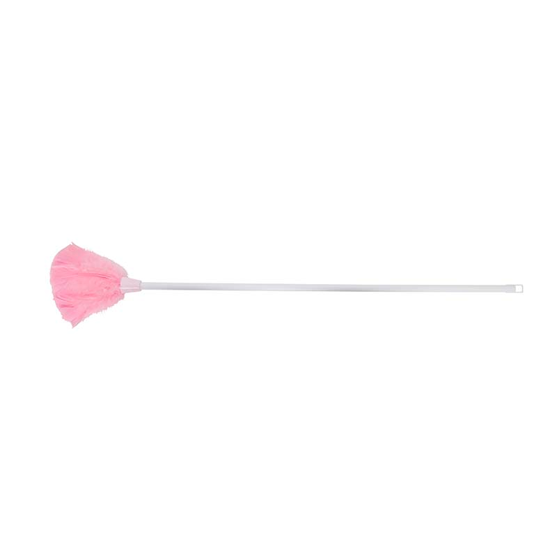 22" Feather Duster 1504