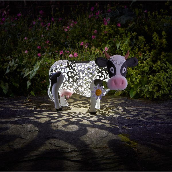 Daisy Cow