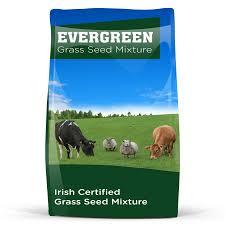 1 Acre Bag Evergreen Dual Purpose Grass Seed